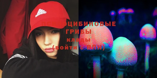 ECSTASY Балабаново