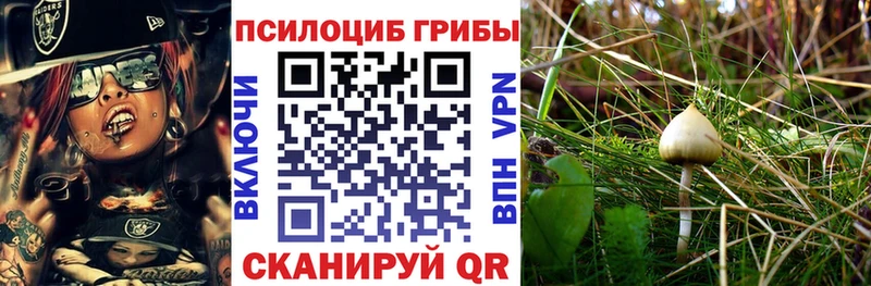 Псилоцибиновые грибы GOLDEN TEACHER  Корсаков 